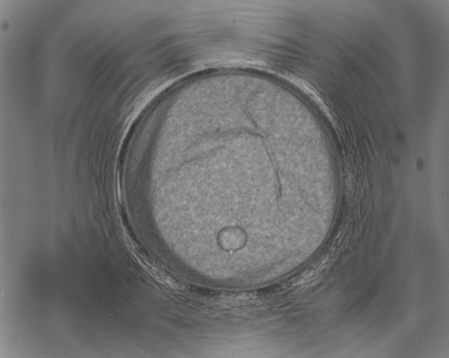 X0000067460887200605051619