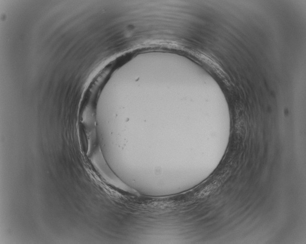 X0000067460888200605051619