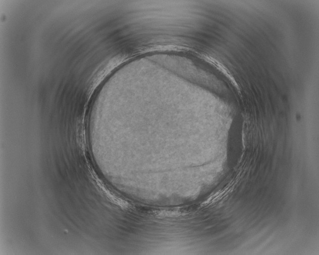 X0000067460890200605051619