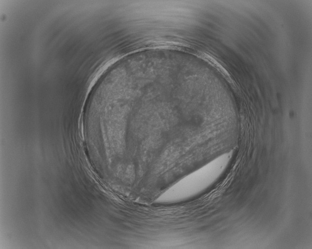 X0000067460891200605051619