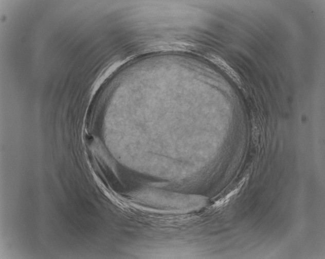 X0000067460893200605051619