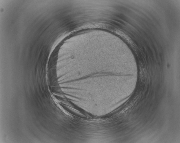 X0000067460894200605051619