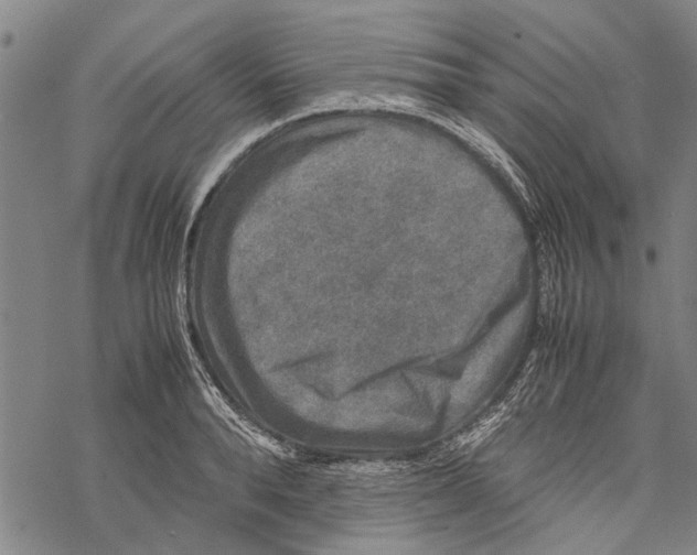 X0000067460896200605051619