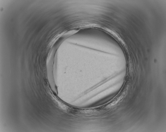 X0000067460897200605051619