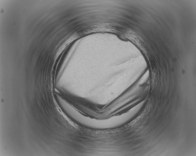 X0000067460898200605051619