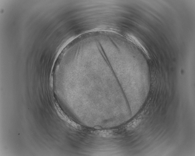 X0000067460900200605051619