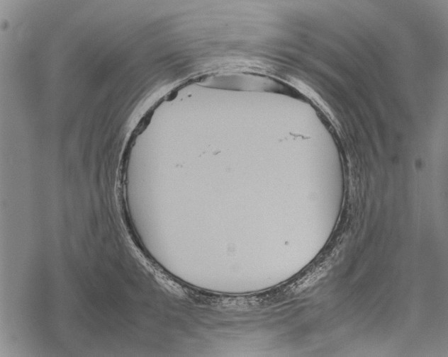 X0000067460901200605051619