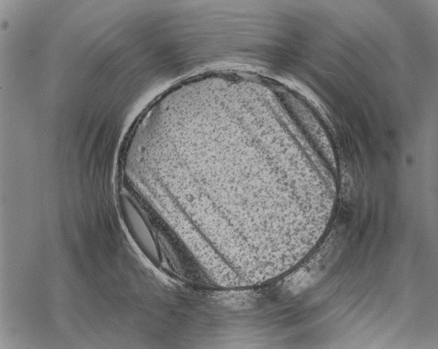 X0000067460902200605051619