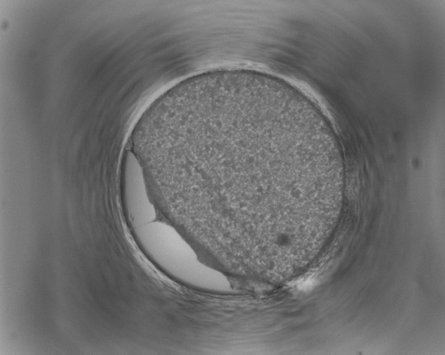 X0000067460903200605051619