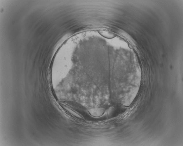 X0000067460907200605051619