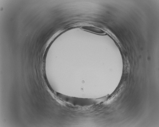 X0000067460909200605051618