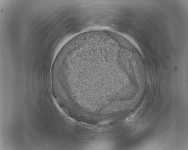 X0000067460911200605051618