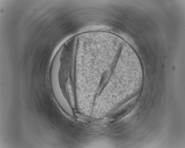 X0000067460912200605051618