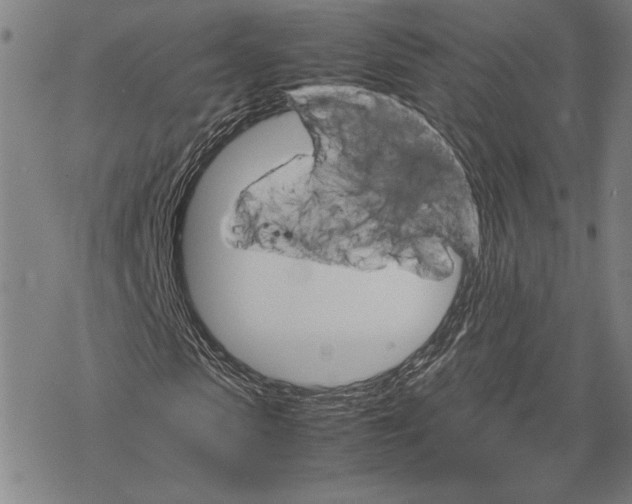 X0000067460913200605051618