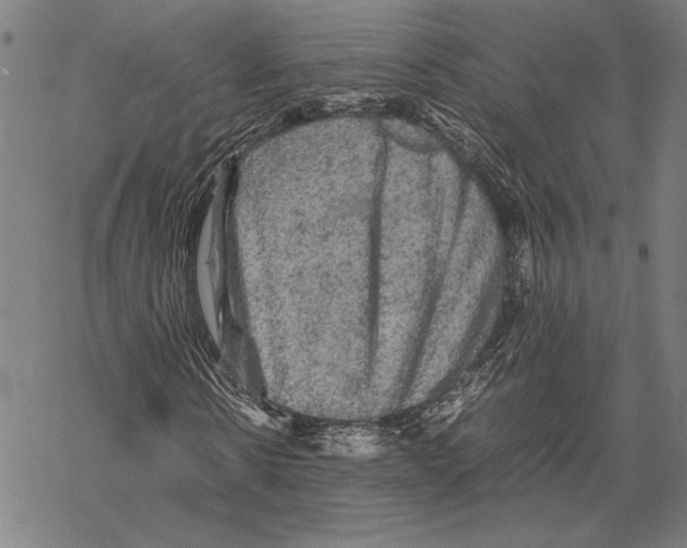 X0000067460914200605051618