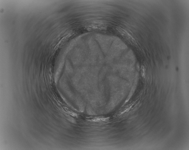 X0000067460915200605051618