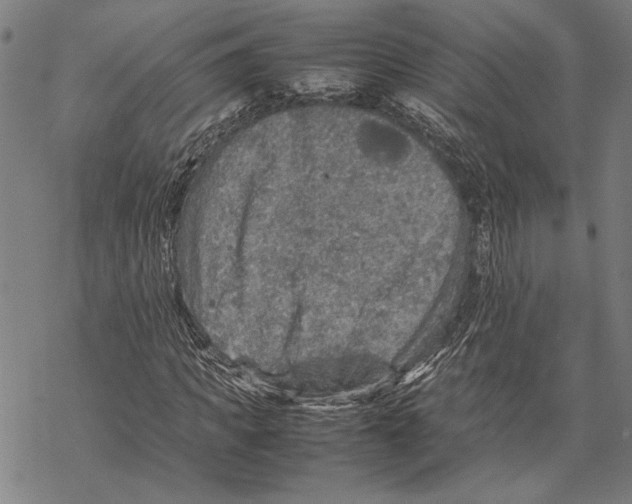 X0000067460917200605051618