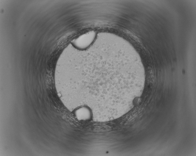 X0000067460918200605051618