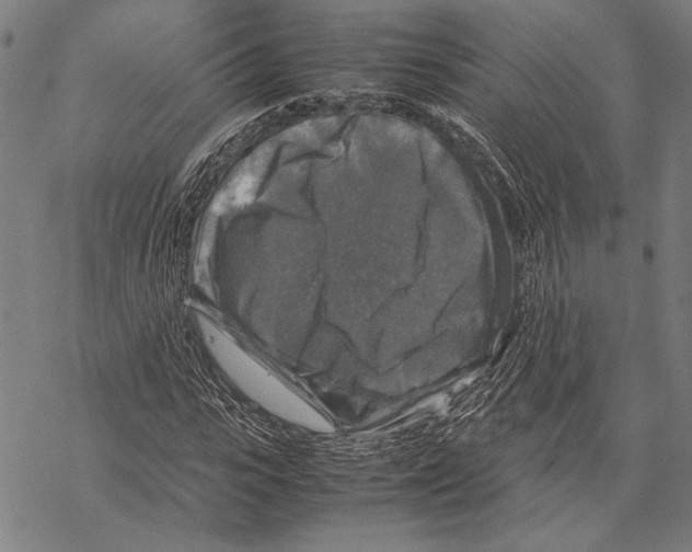 X0000067460919200605051618