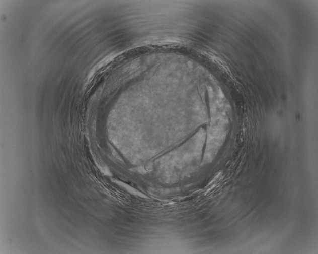 X0000067460920200605051618