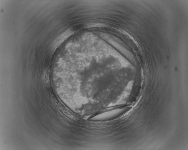 X0000067460921200605051618