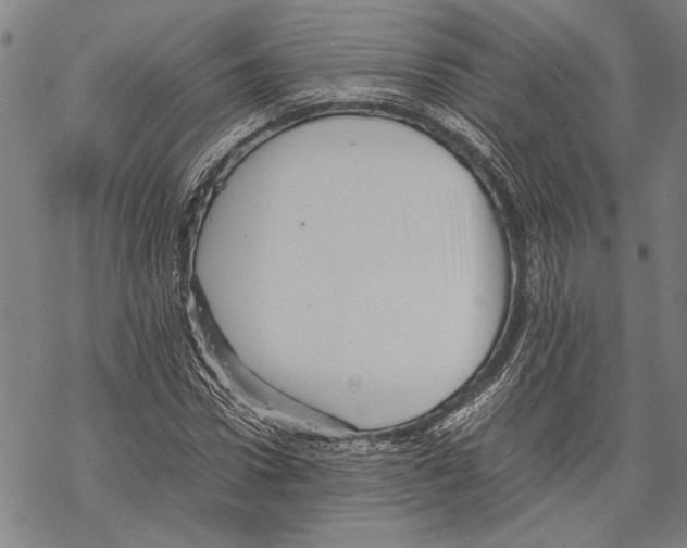 X0000067460922200605051618