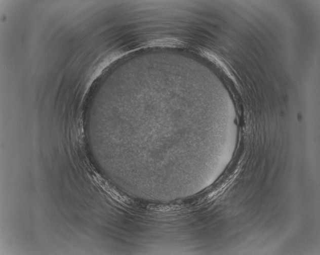 X0000067460923200605051618