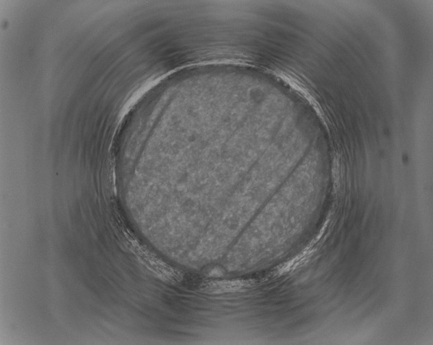 X0000067460925200605051618