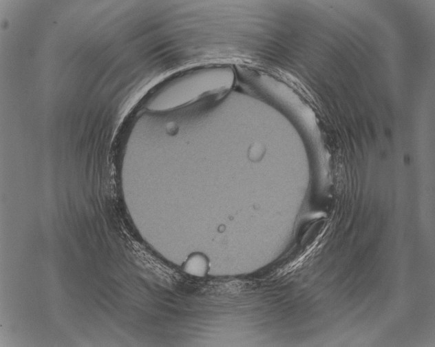 X0000067460926200605051618