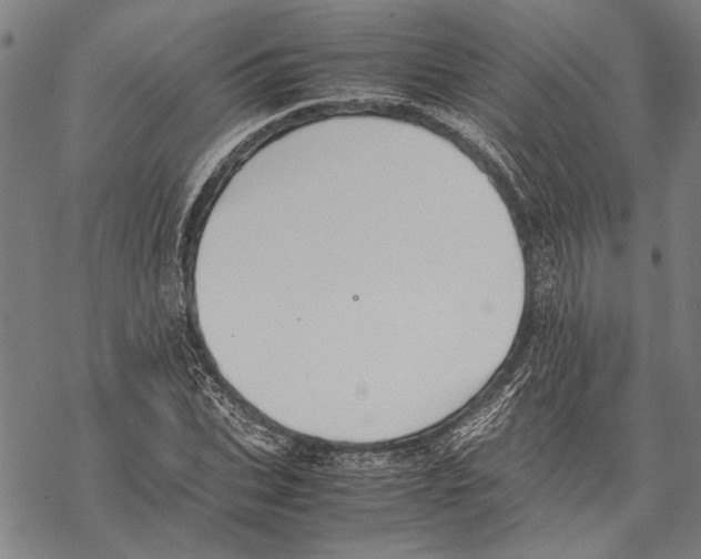 X0000067460927200605051618