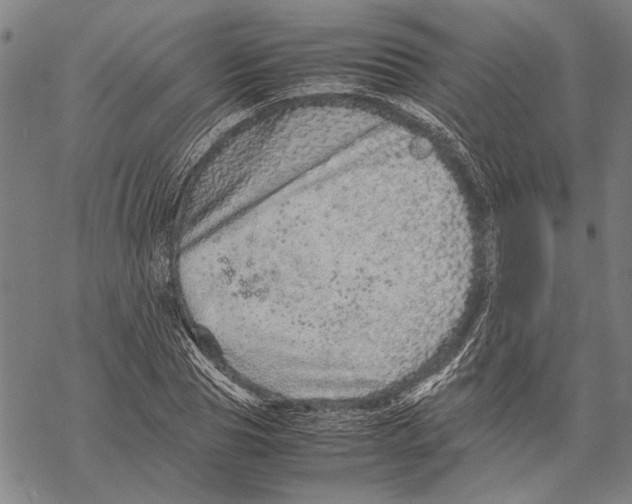 X0000067460929200605051618