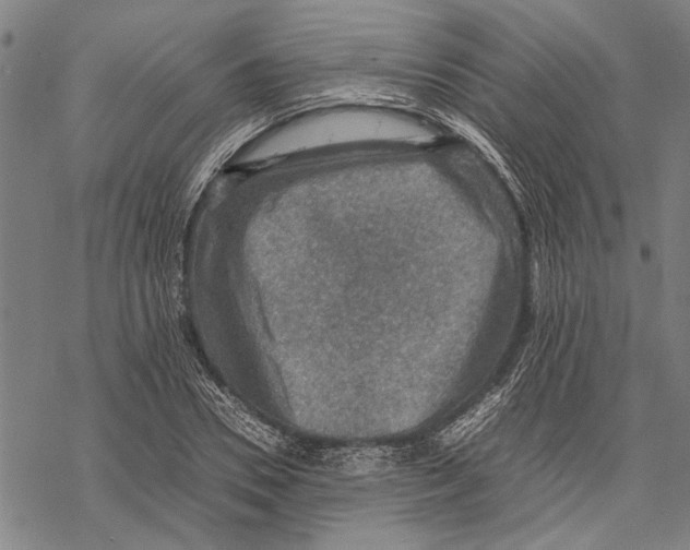 X0000067460930200605051618