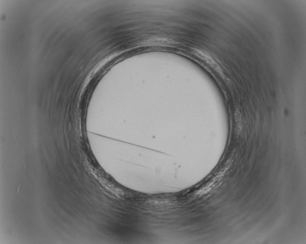 X0000067460931200605051618