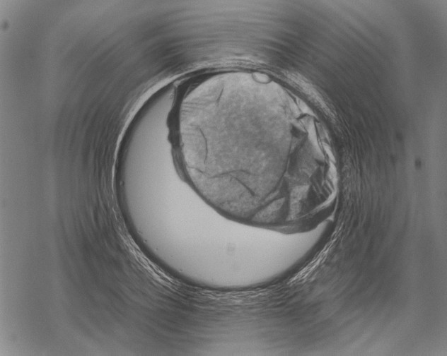 X0000067460932200605051618