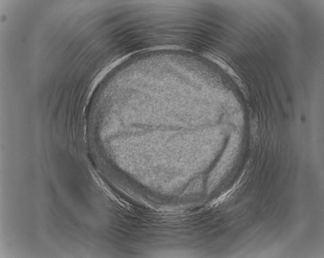 X0000067460933200605051618