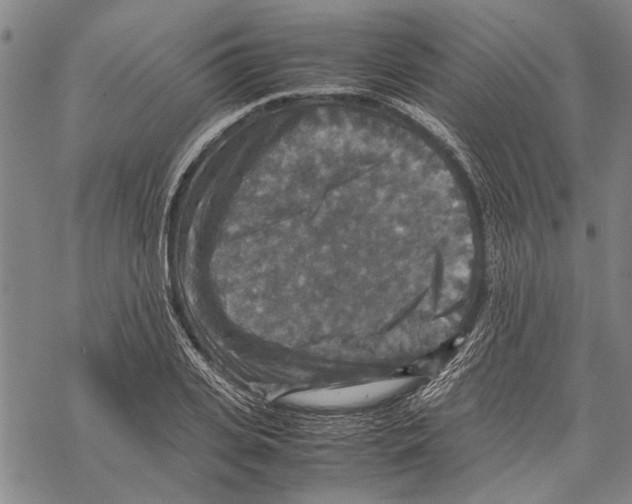 X0000067460935200605051618