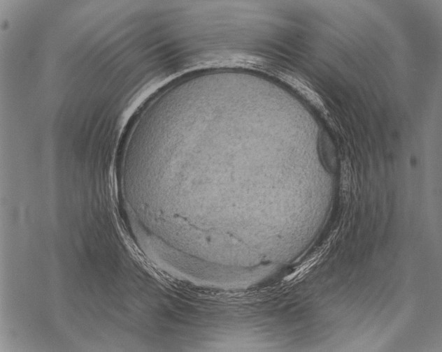 X0000067460936200605051618