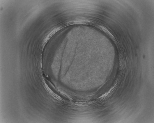 X0000067460938200605051618