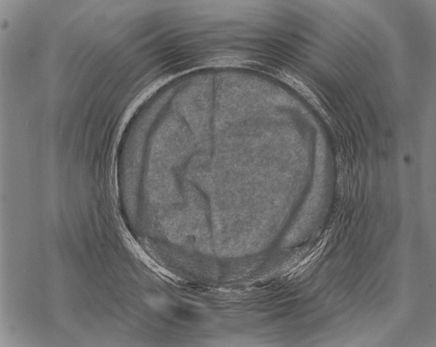 X0000067460939200605051618