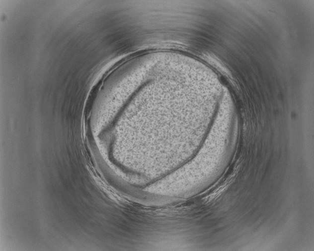 X0000067460940200605051618