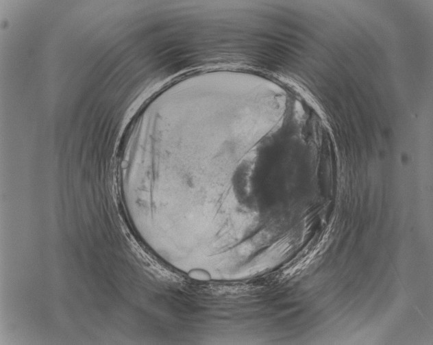 X0000067460941200605051618