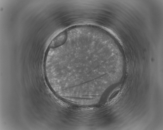 X0000067460943200605051618