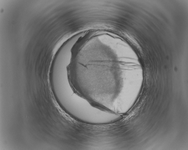 X0000067460944200605051618