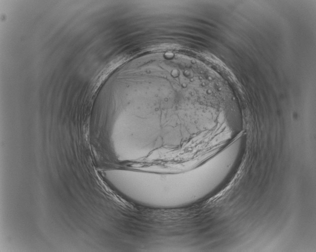 X0000067460945200605051618