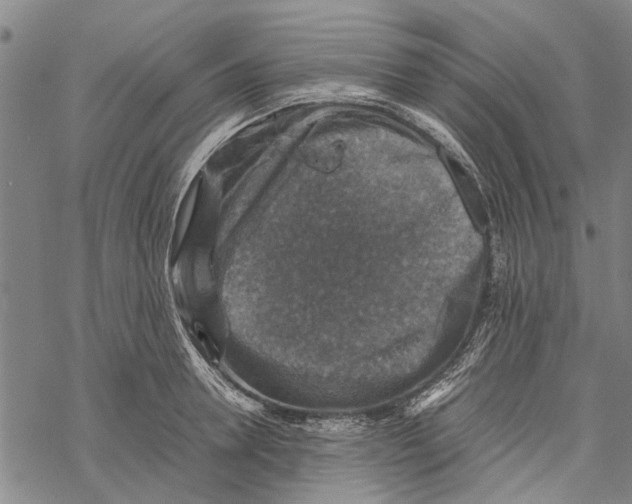 X0000067460946200605051618