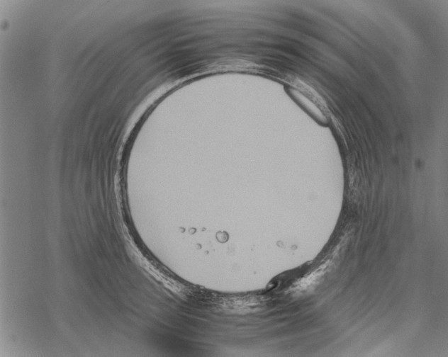 X0000067460947200605051618