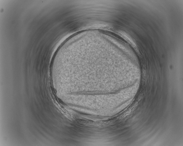 X0000067460948200605051618