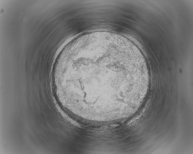 X0000067460949200605051618