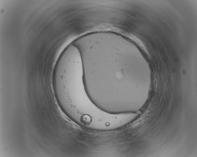 X0000067460950200605051618