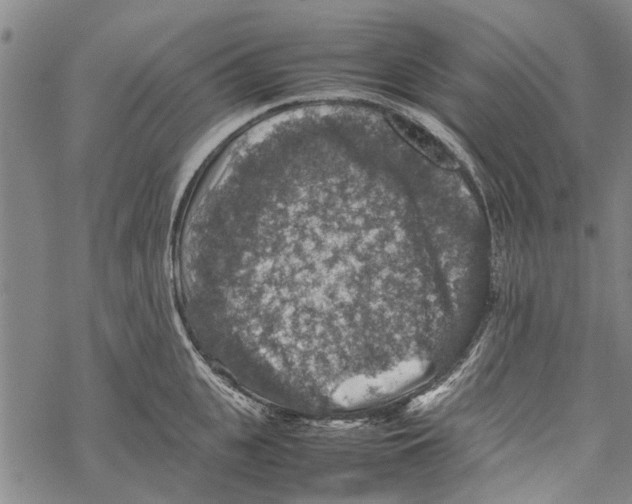 X0000067460951200605051618